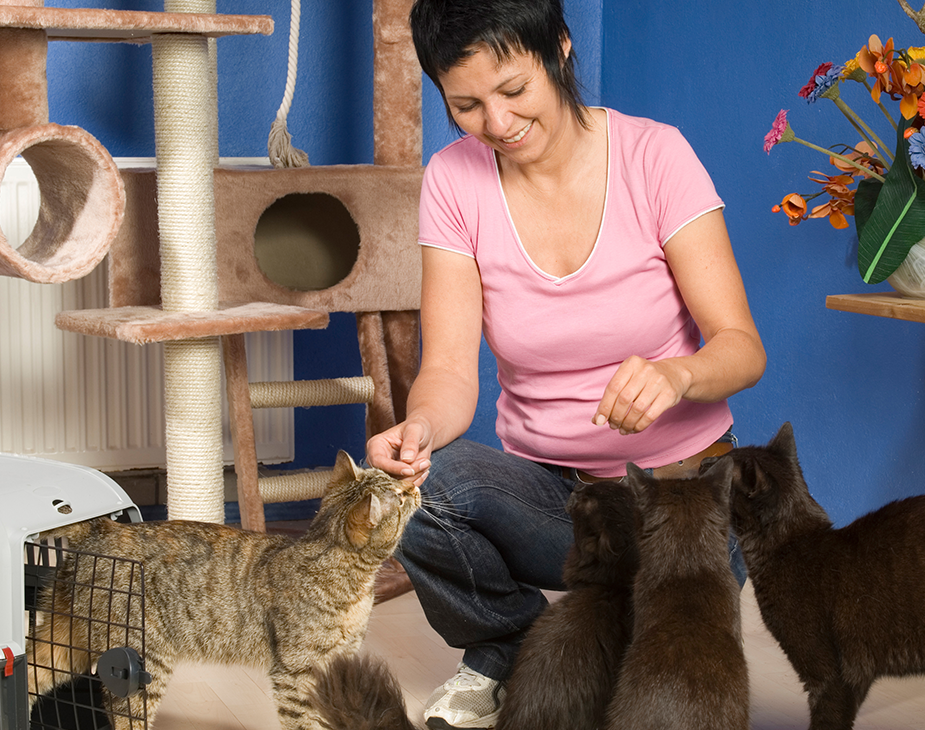 https://virtualpetcaregiver.org/wp-content/uploads/2019/07/hero_image_09.png