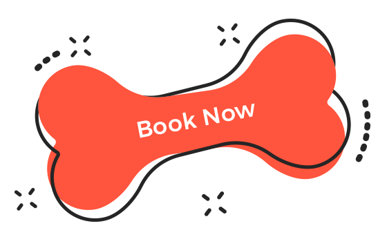 https://virtualpetcaregiver.org/wp-content/uploads/2019/08/book_now.png