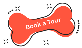 https://virtualpetcaregiver.org/wp-content/uploads/2019/08/book_tour.png