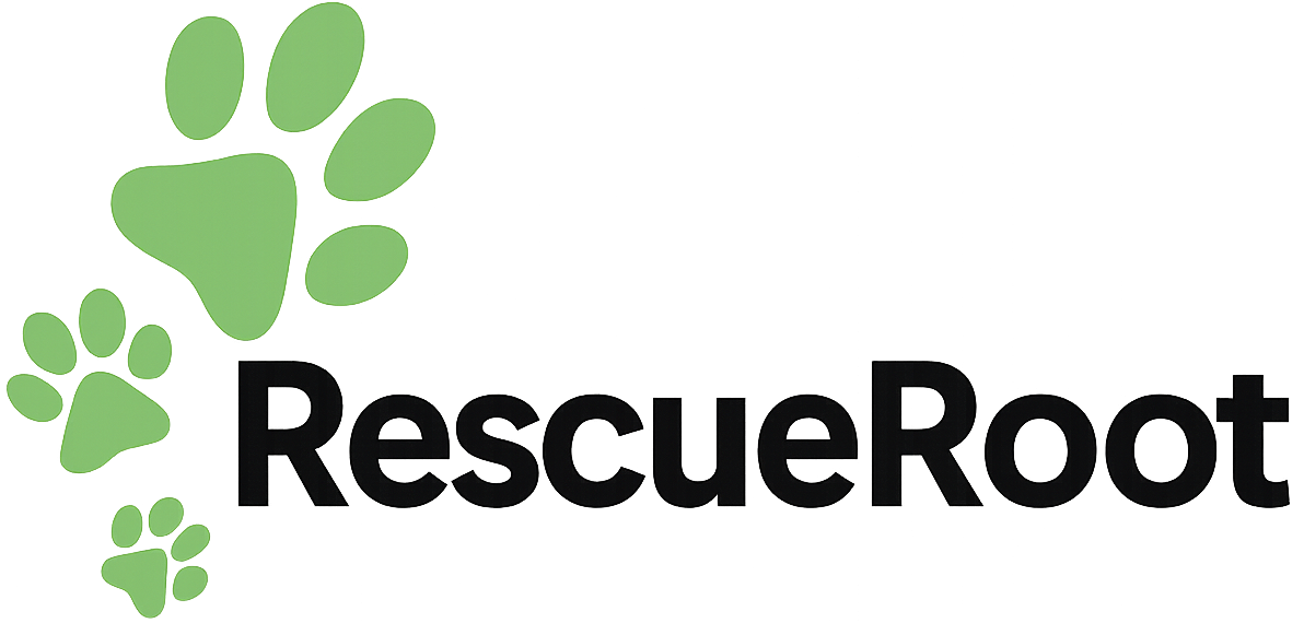 Virtual pets caregiver