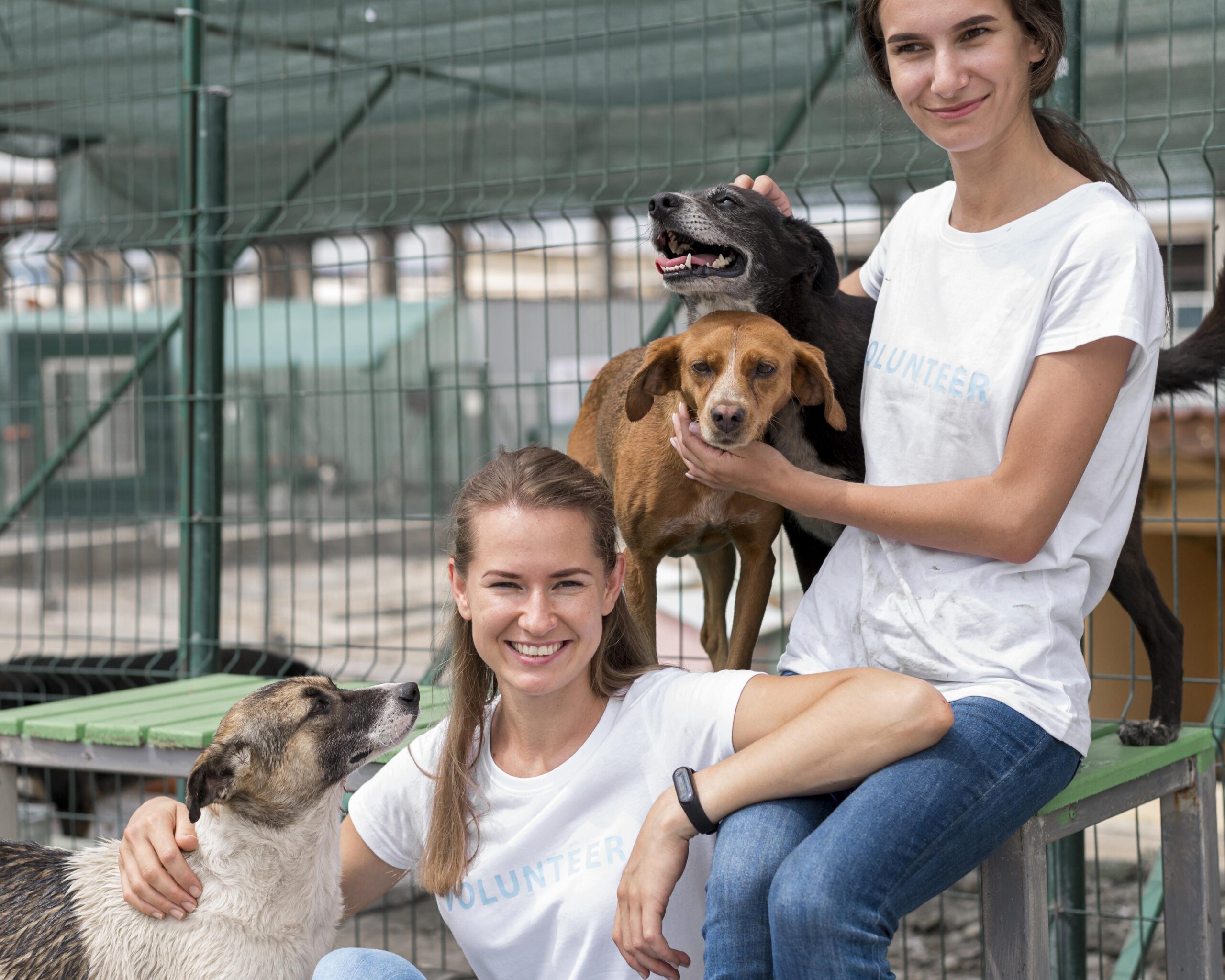 https://virtualpetcaregiver.org/wp-content/uploads/2025/09/smiley-woman-spending-time-with-cute-rescue-dogs-shelter-scaled.jpg